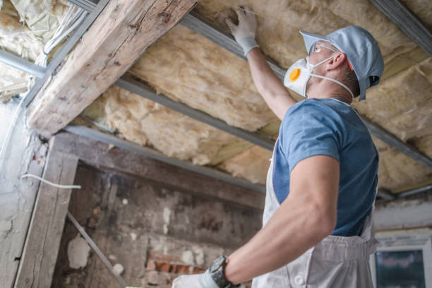 Best Best Insulation Companies  in Carlisle, PA