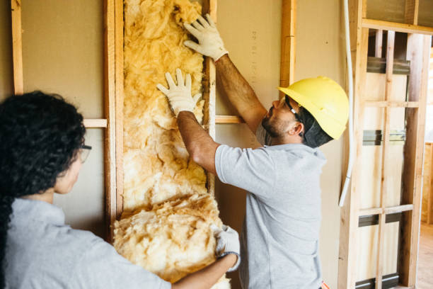Best Cellulose Insulation  in Carlisle, PA